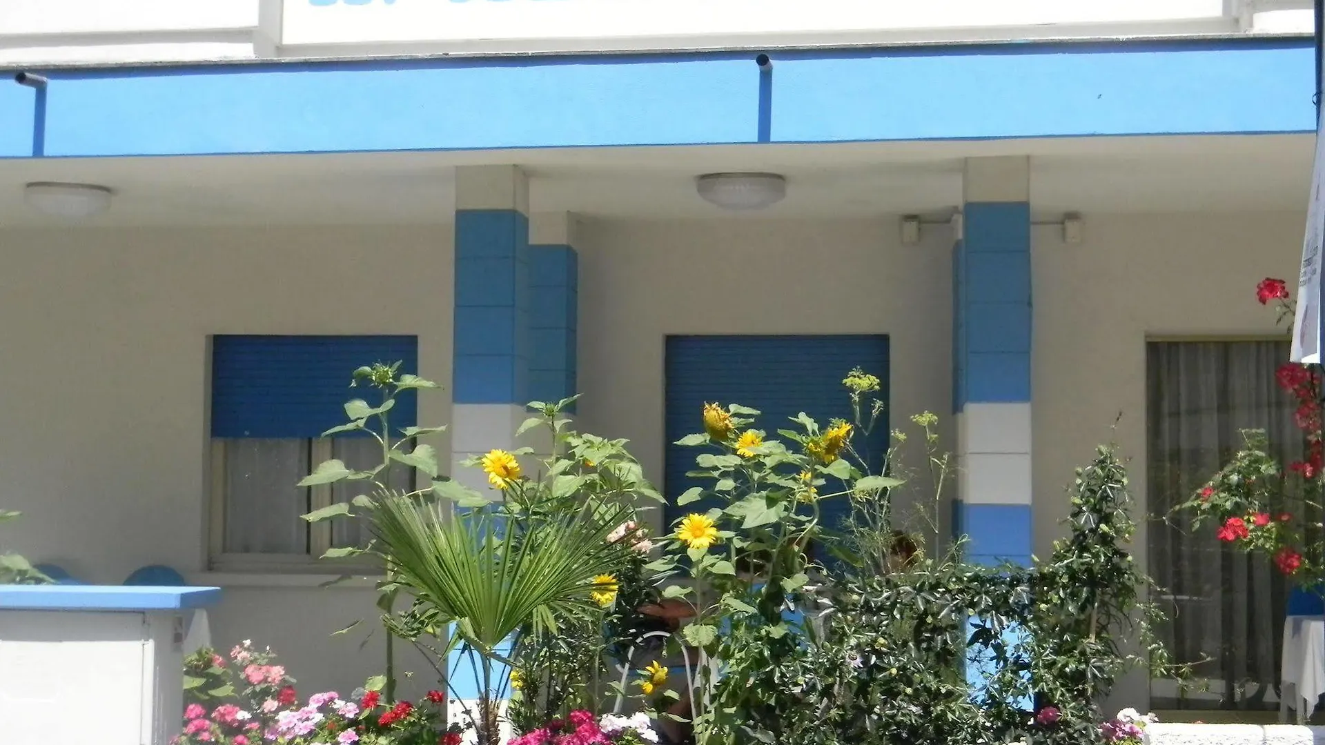 Hotel Abbondanza Gatteo